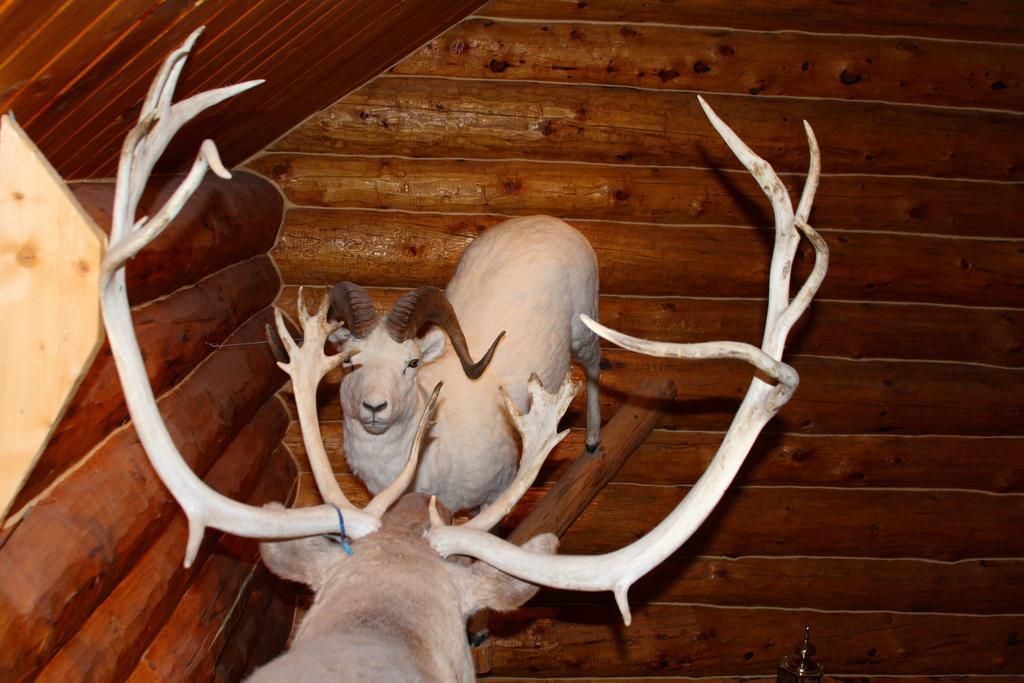Wise Old Hunter Lodge Anchor Point Camera foto