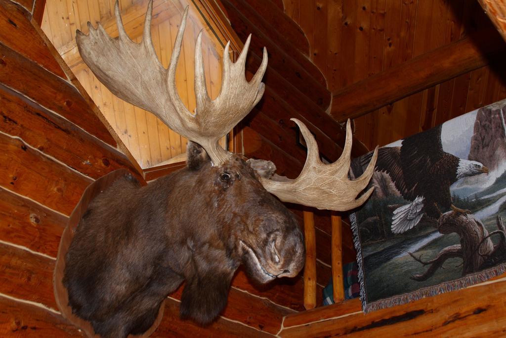 Wise Old Hunter Lodge Anchor Point Camera foto